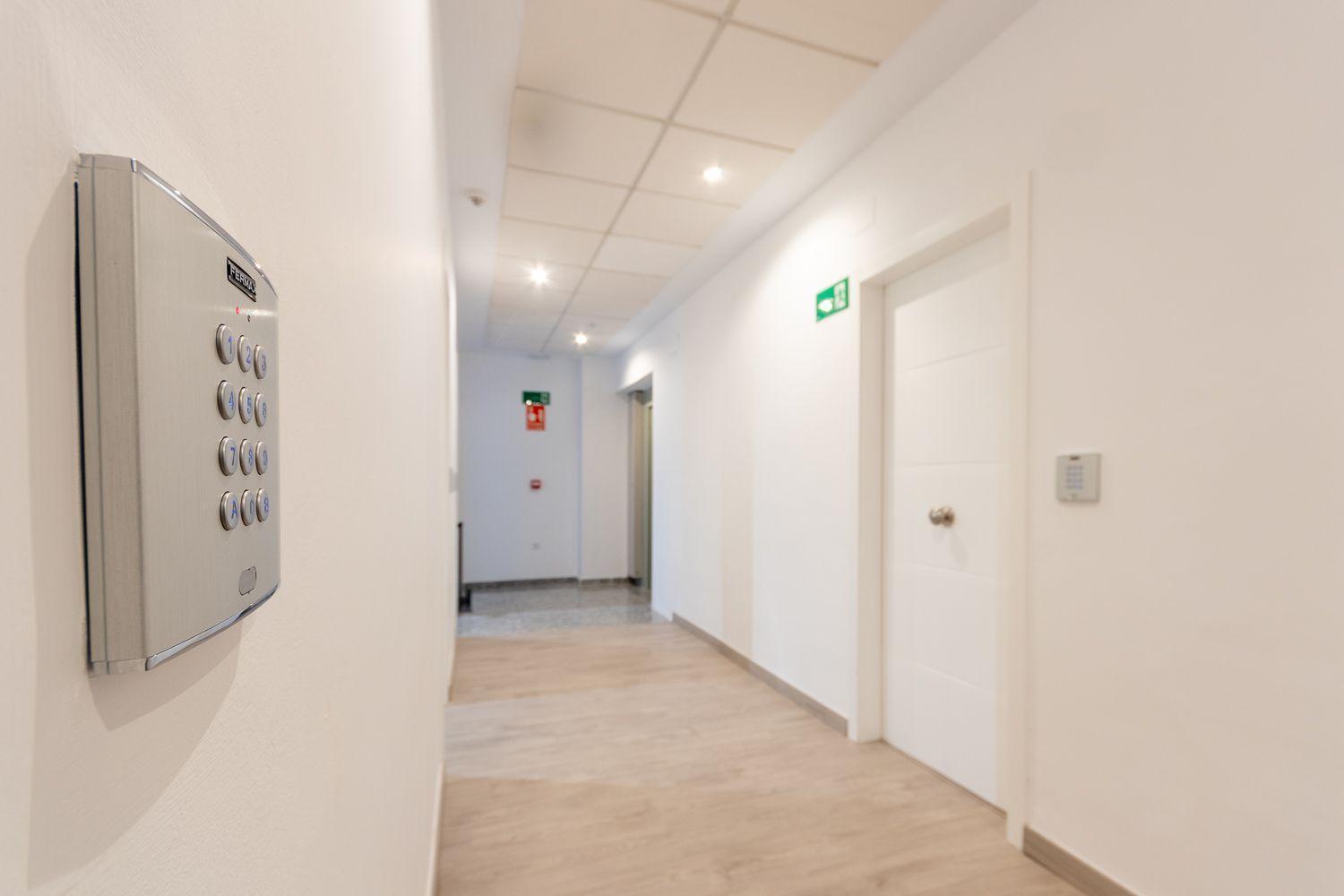 Apartamentos Basilica Santa Eulalia Parking Gratis Mérida Zewnętrze zdjęcie